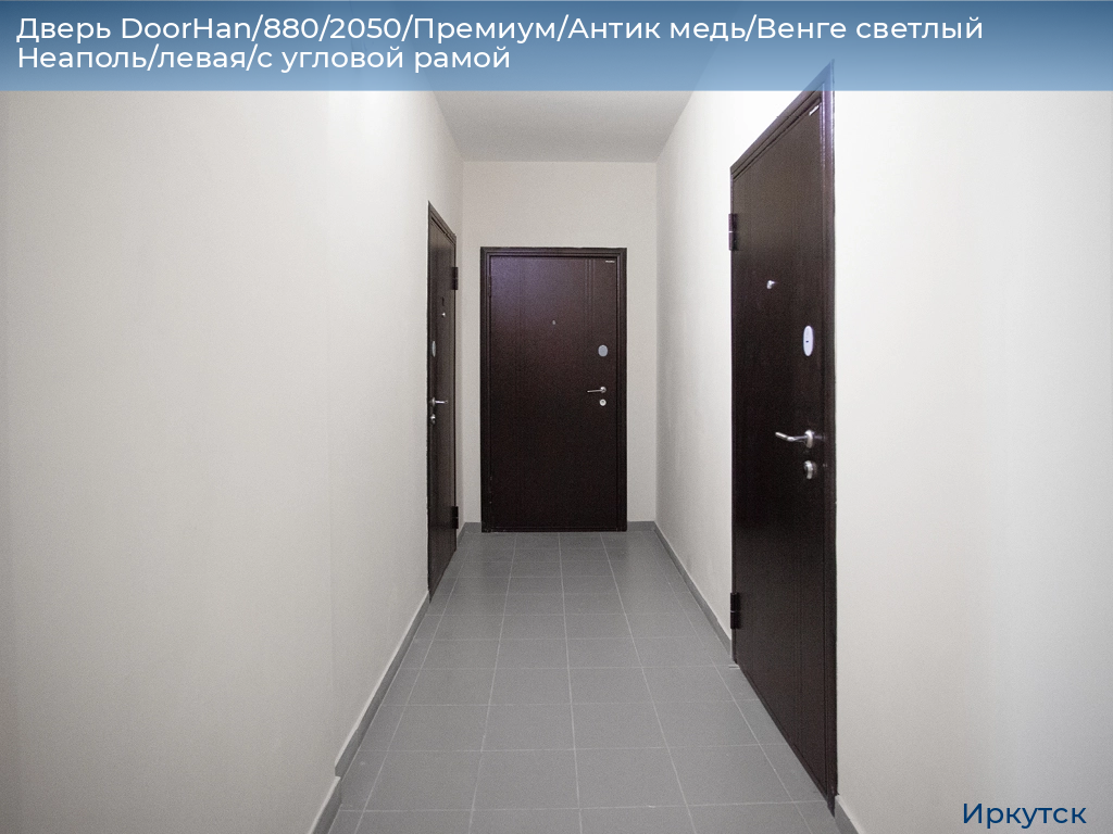 Дверь DoorHan/880/2050/Премиум/Антик медь/Венге светлый Неаполь/левая/с угловой рамой, irkutsk.doorhan.ru