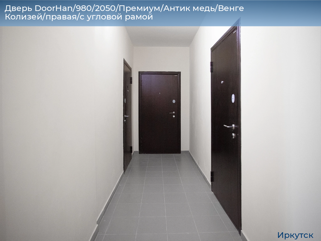 Дверь DoorHan/980/2050/Премиум/Антик медь/Венге Колизей/правая/с угловой рамой, irkutsk.doorhan.ru